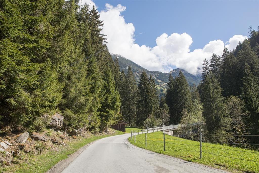 Almstueberl - Schiestl'S Ferienhuetten マイヤーホーフェン エクステリア 写真